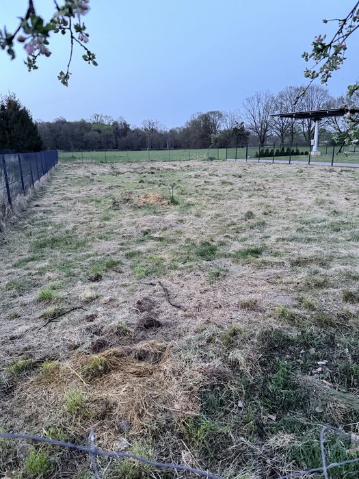 Dzialka budowlana Raciborz Markowice Łężczok Prywatnie - Widok 5