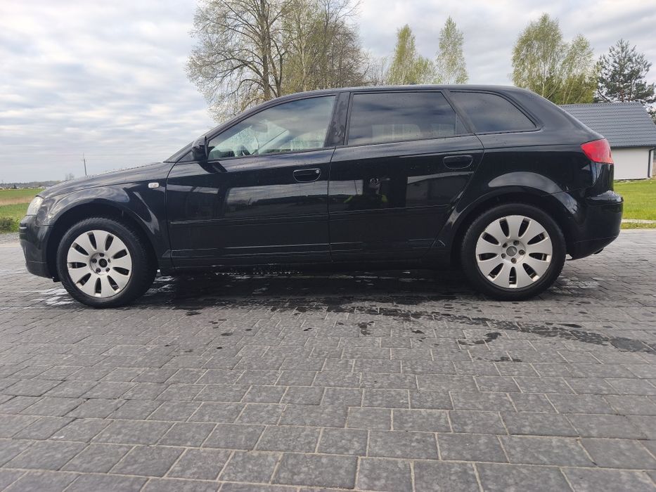 Audi A3 8P 2.0Tdi