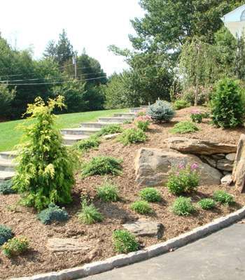 Сосновая кора и мульча купить киев