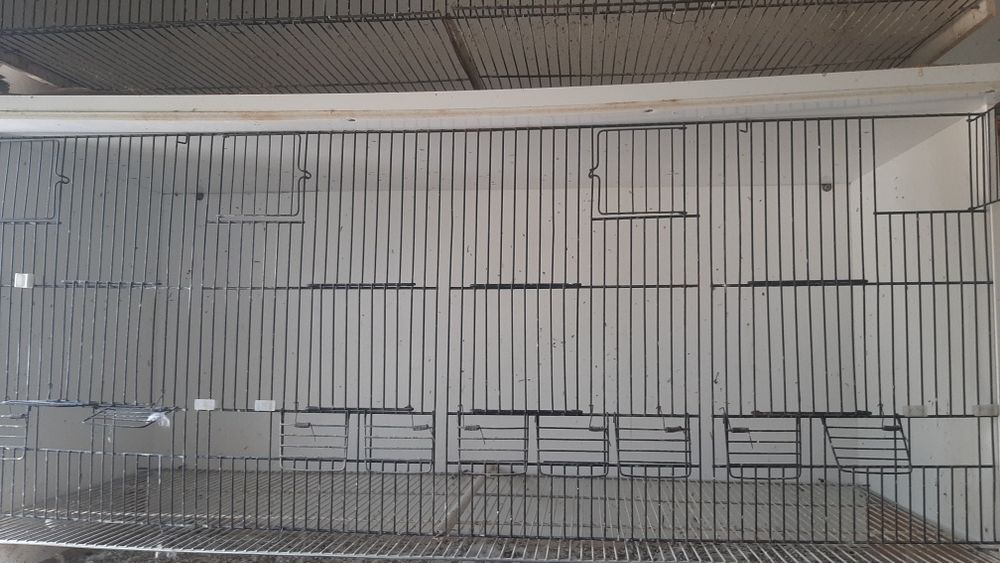 Viveiros/voadeiras pvc