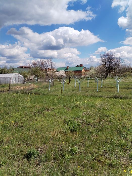 Продам великий будинок по вул. Віноградна.