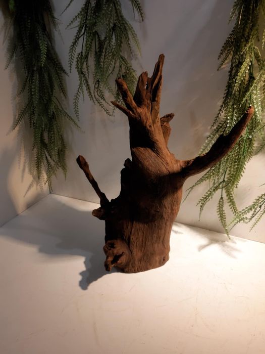 Korzeń do akwarium/terrarium