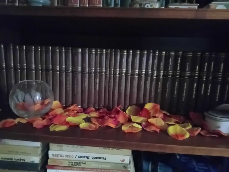 Colecção de 40 livros com capas de luxo de vários autores consagrados