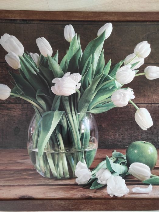 Obraz " Białe tulipany"
