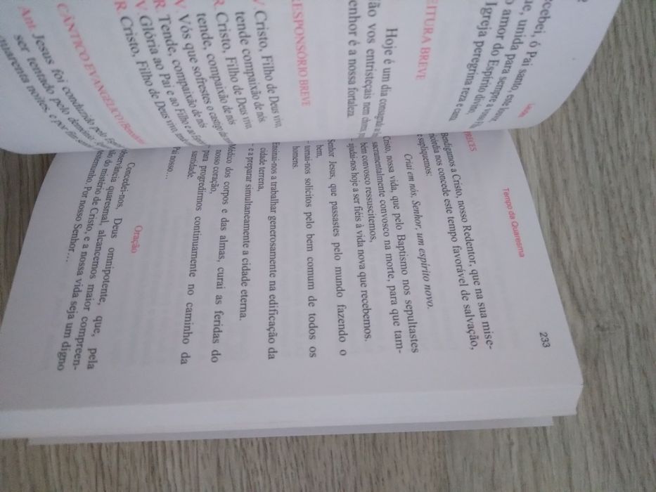 Rezar com a Igreja.  Liturgia das horas abreviada