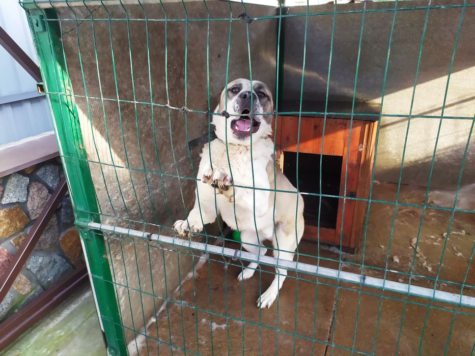 Кабель для в'язкі