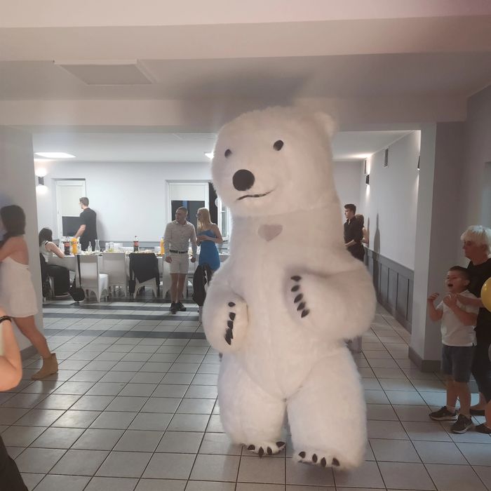 Fotobudka360,tradycyjna,biały miś,telefon Życzeń,miny dymne,prezent,is