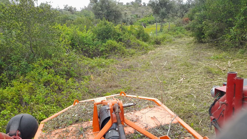 Limpeza de terrenos e serviços agrícolas