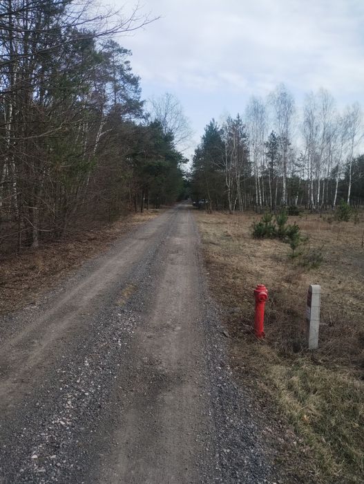 Piękna działka Famułki Brochowskie zamiana