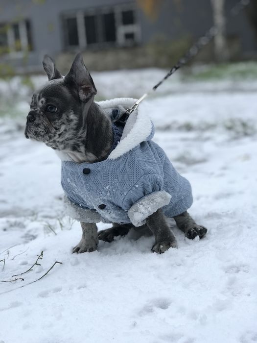 Шукаємо наречену!!! Вязка
