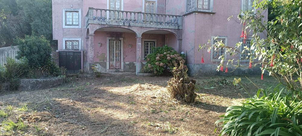 Limpeza de jardim e terrenos