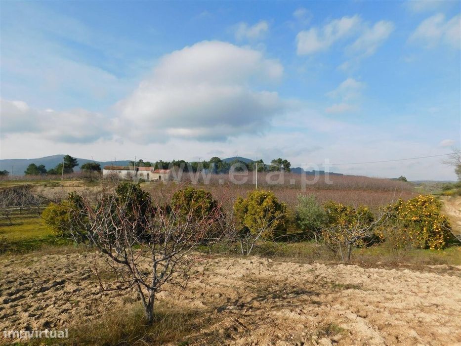 Quinta / Fundão, Catrão