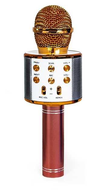 Дитячий мікрофон караоке