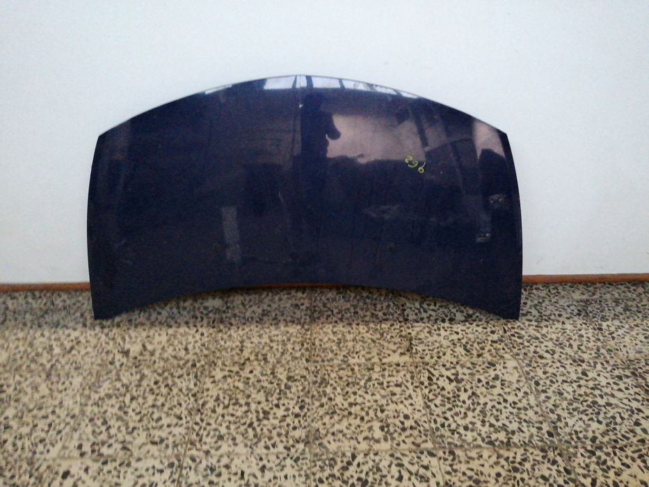 Capot - renault clio iii (br0/1, cr0/1) | 05 -