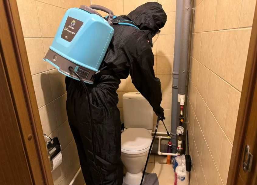 Травля тараканов безопасная санитарная обработка жилья