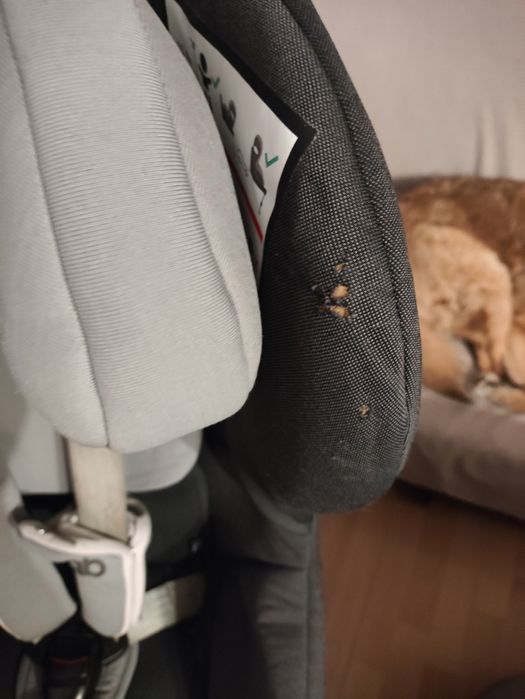 Cybex GB Vaya I-Size 0-18kg