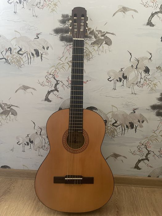 Гітара Maxtone CGC-3902