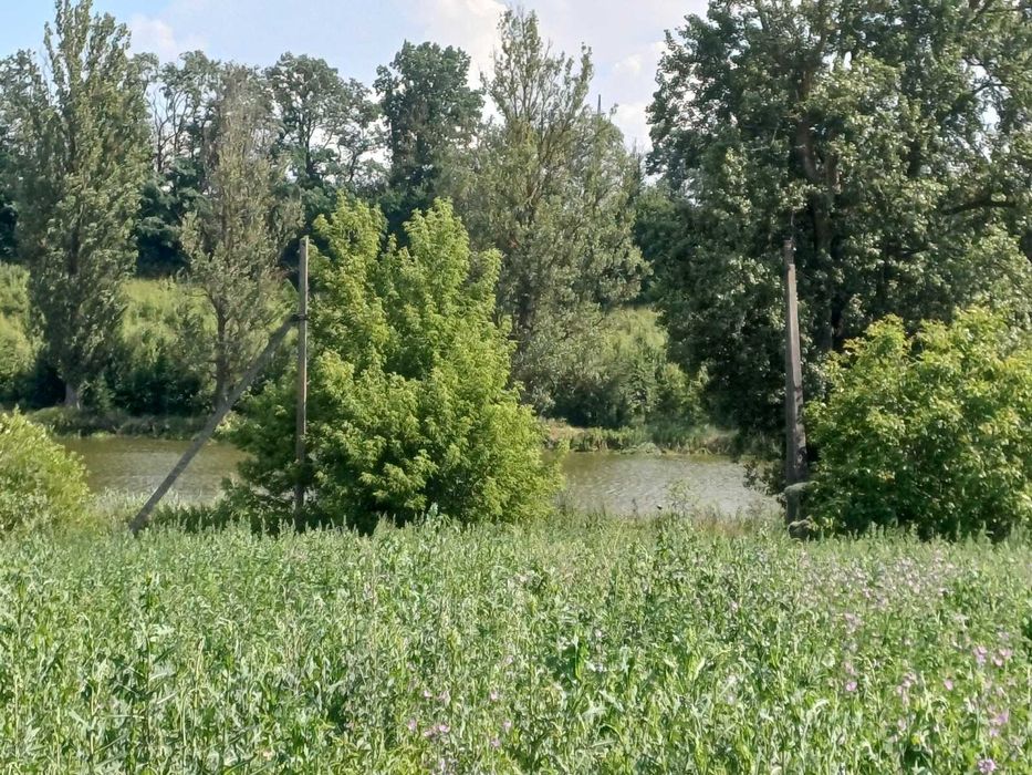 Продаж земельної ділянки в Луці-Мелешківській