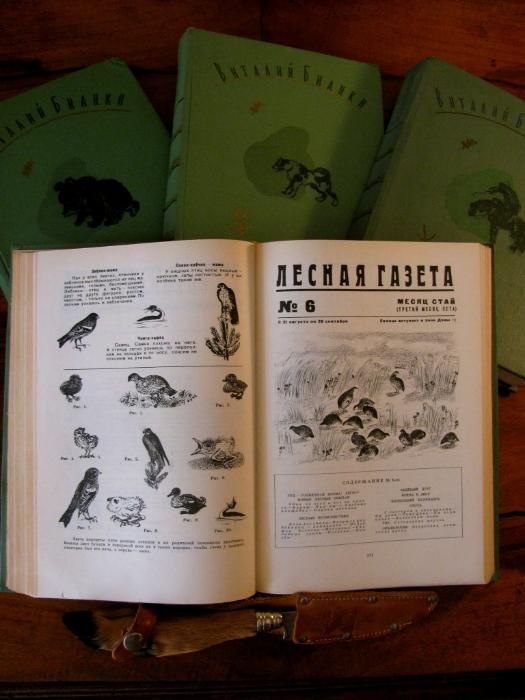 Виталий БИАНКИ.Иллюстрированное СОБРАНИЕ СОЧИНЕНИЙ.1972 г.Комплект!