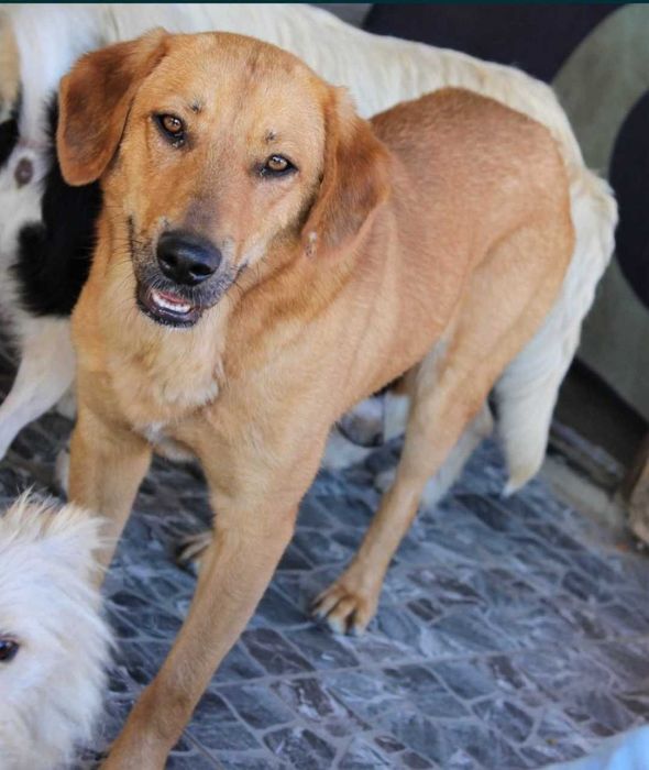 Nora oaza spokoju bardzo zrównoważona .