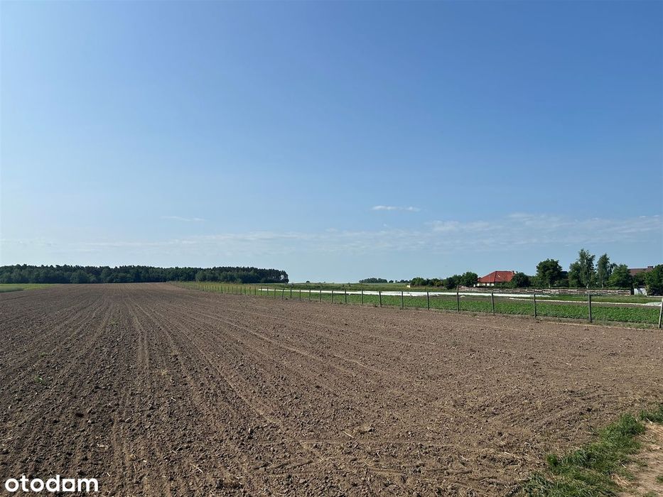 Działka budowlana w urokliwym miejscu przy lesie