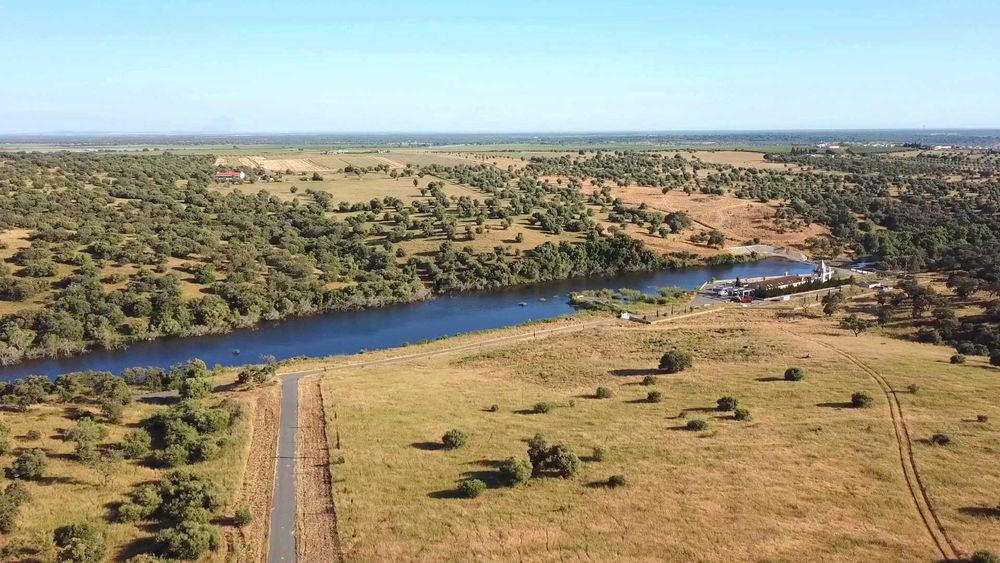 Herdade 12 ha Alentejo