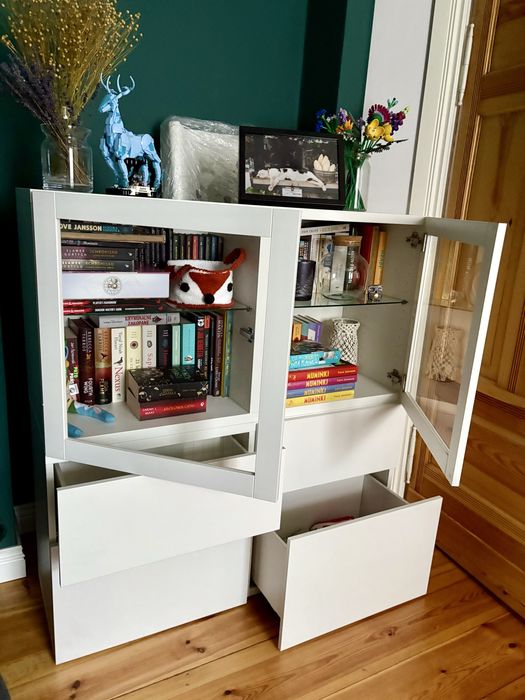 Szafka IKEA Besta