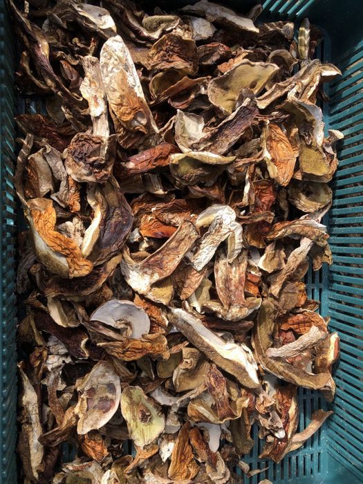 Сухі білі гриби, сушеные белые грибы