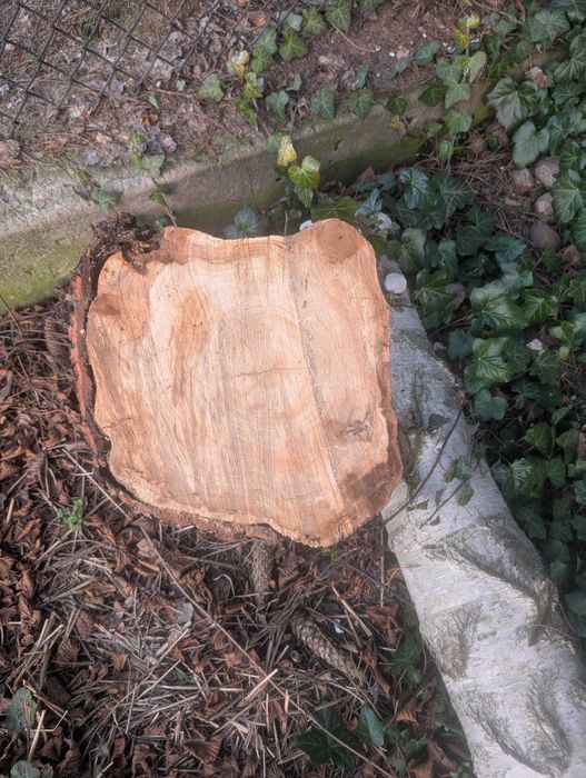 Drewno owocowe do wędzenia