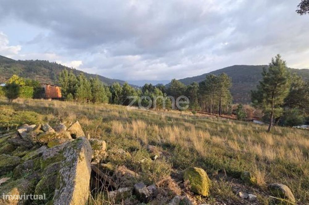 Dois Terrenos Rústicos com 2,6 Ha