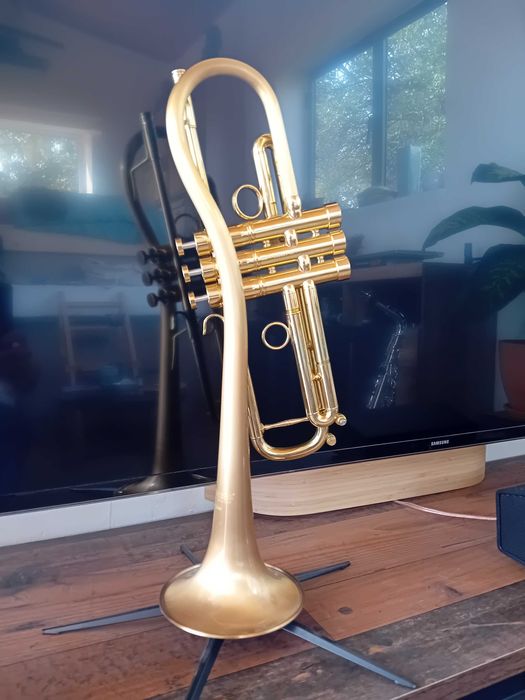 CarolBrass Trombeta Trumpet Dutch Jazz Bastard