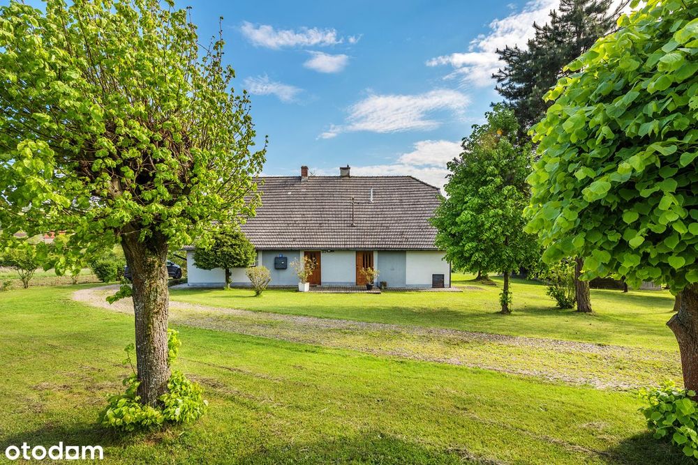 Klimatyczne siedlisko (1,77 ha) Bieńkowice - Widok 5