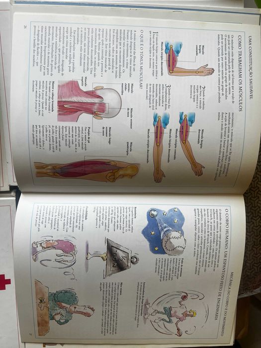 lote livros Biblioteca Medica da Familia Cruz Vermelha