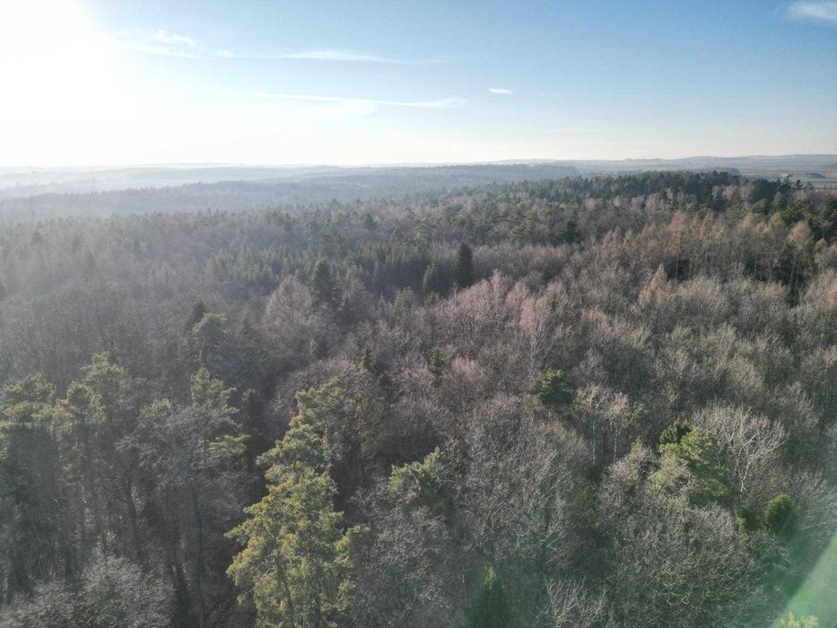 Działka budowlana 29ar, Barbarka, gm. Skała