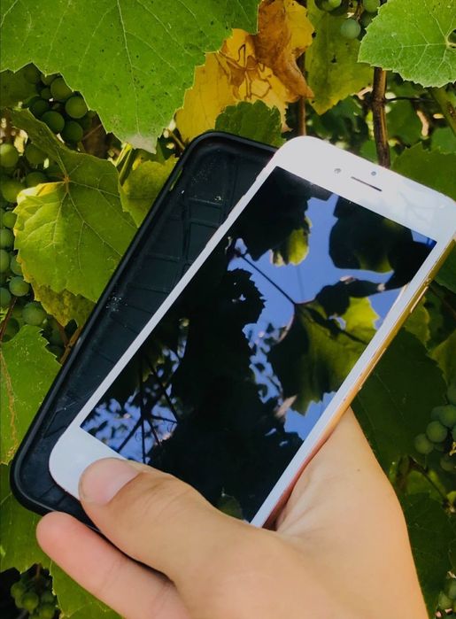 Neverlok Iphone Айфон 8/64