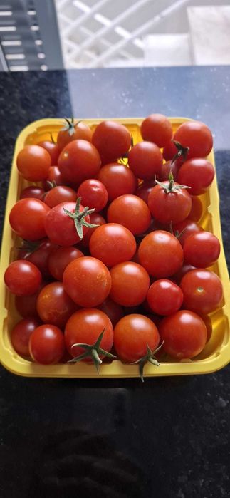 Produtos agrícolas biológicos - 1€ kilo - Santarém - Vale de Figueira