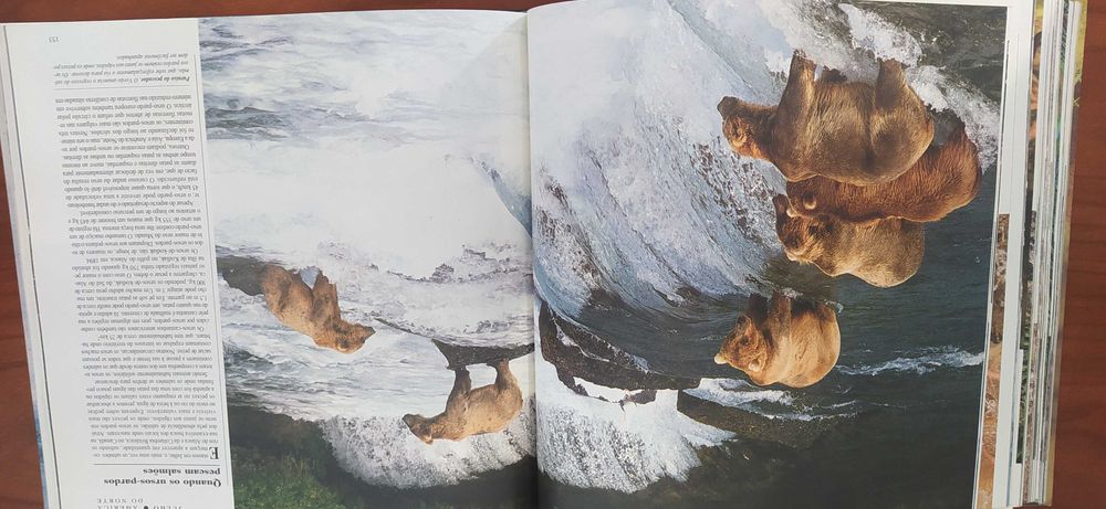 Livro "O Mundo Maravilhoso dos Animais Selvagens"