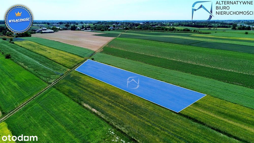 Atrakcyjna działka rolno-budowlana w Natalinie - View 5