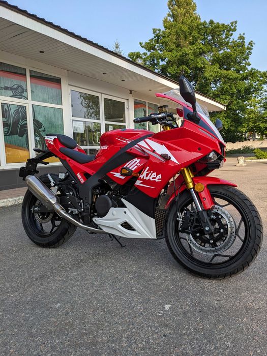 Мотоцикл RIDER IRON 250CC Артмото Кременчук