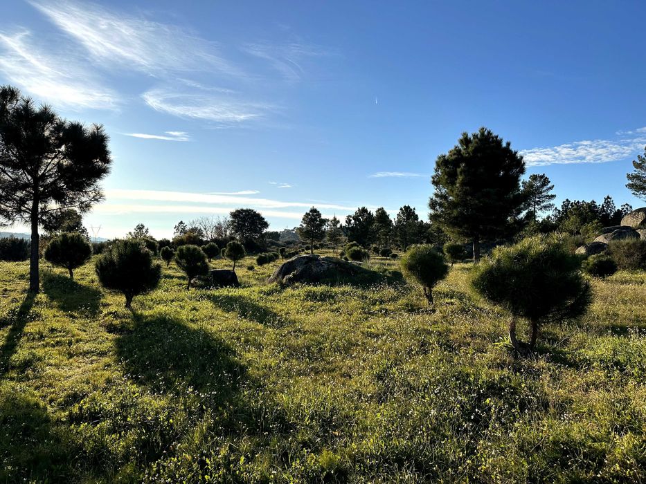 Refúgio de 9 Hectares com Vistas para a Serra da Estrela