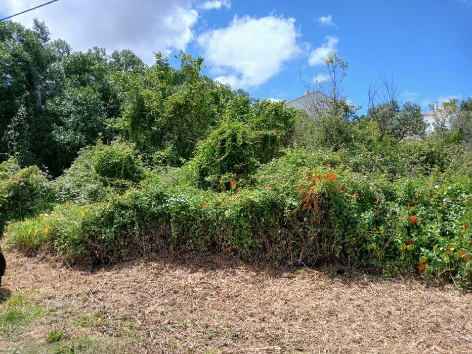 Limpezas Terrenos /Demolições/Escavações /