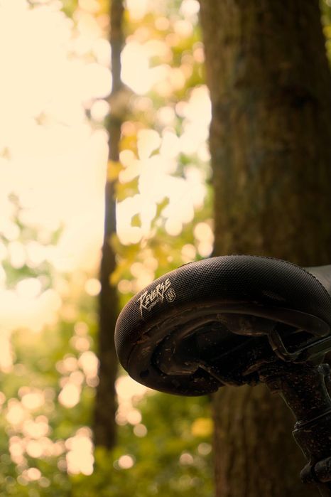 Trek Remedy 8 2024 (XT)