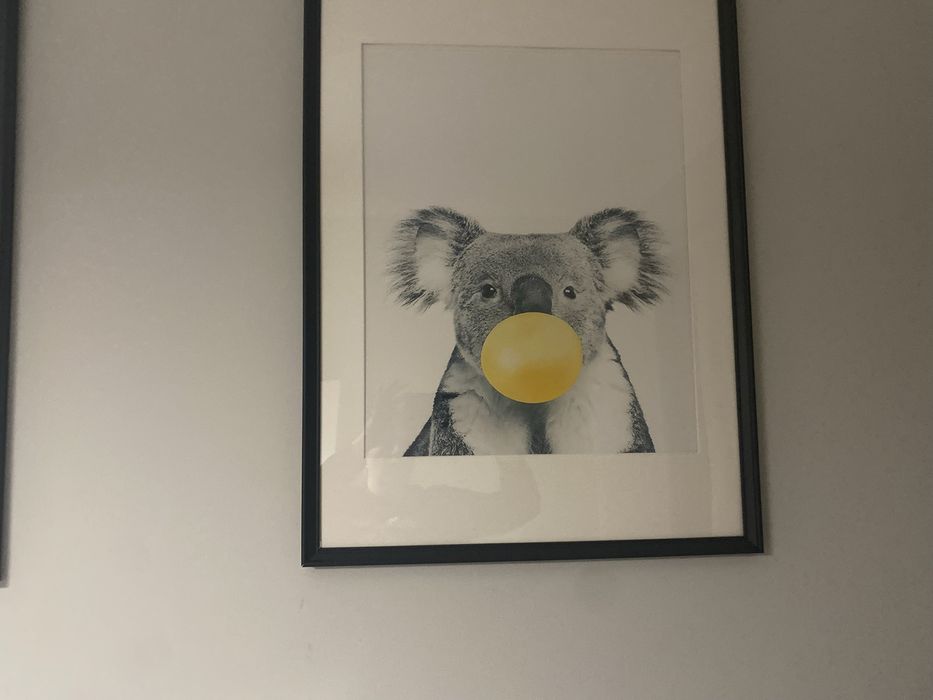 3 Poster de animais para moldurar ideal para  quarto de crianca