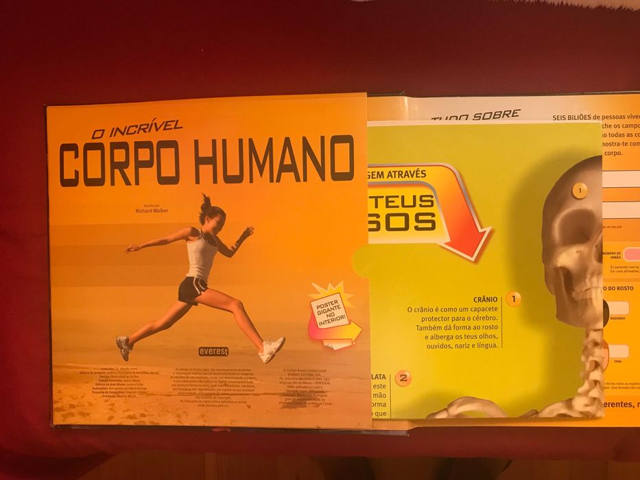 Livro sobre o Corpo Humano