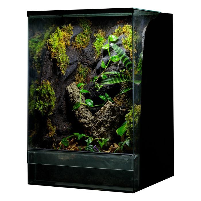 Terrarium tropikalne gekon 40x40x60