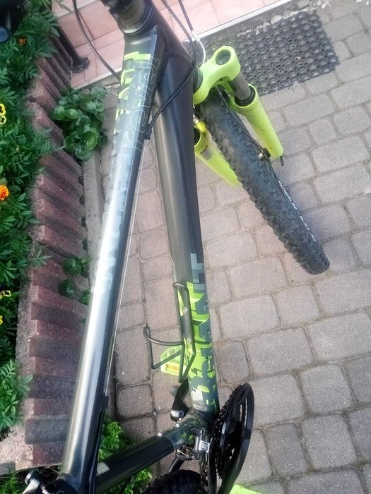 Rower Giant Revel