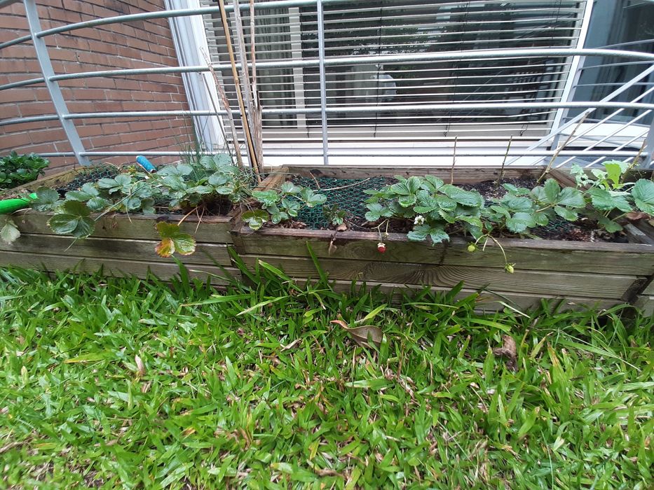 Dá-se 3 floreiras de madeira