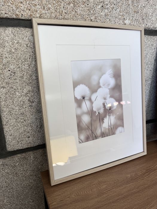Conjunto de quadros