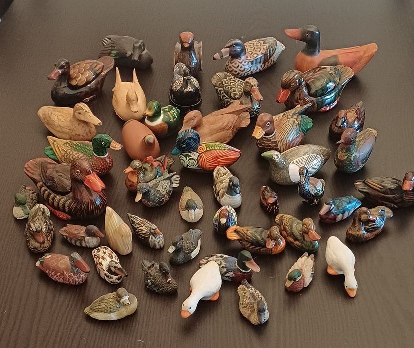 Patos Conjunto em excelente estado