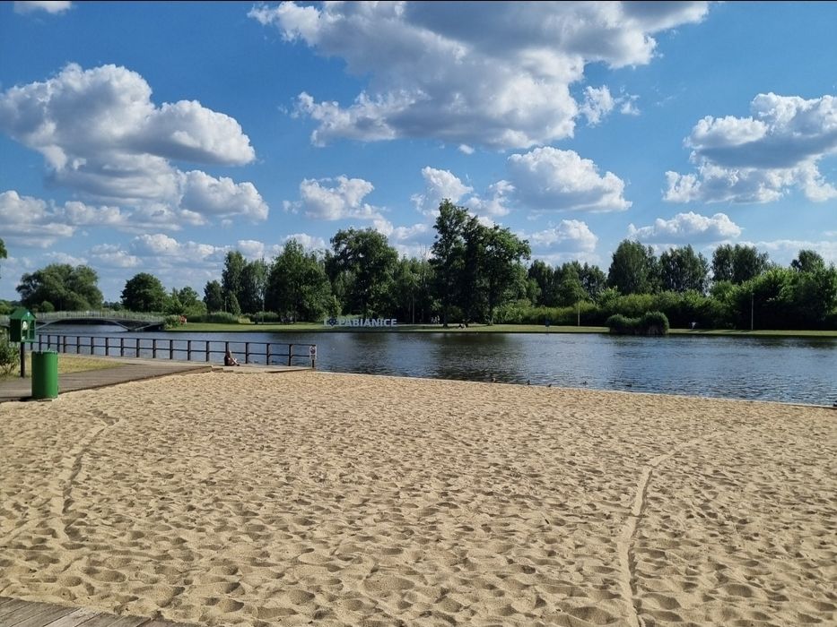 Zdjęcie 8